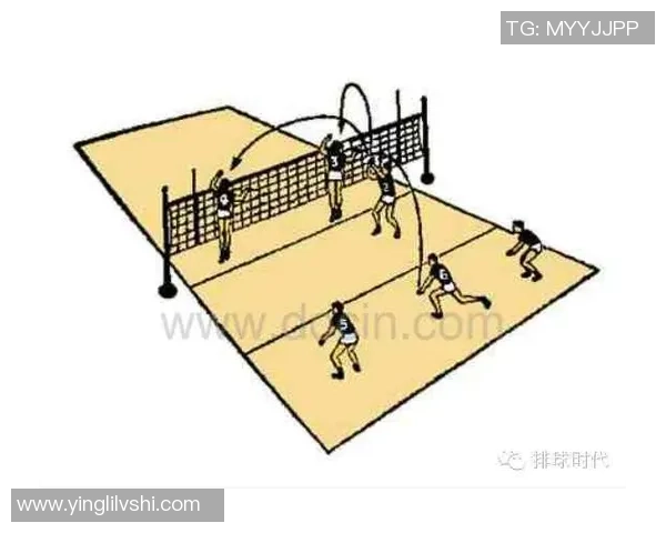 武汉排球队进攻战术解析与球队表现的深度剖析